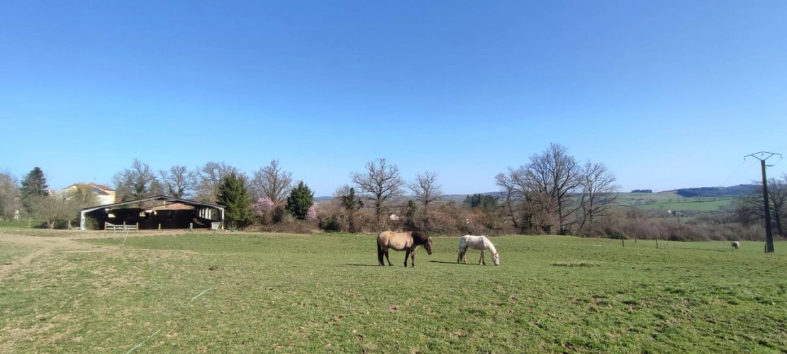 Photos 1 - Équestre - Maison à vendre Le Breuil