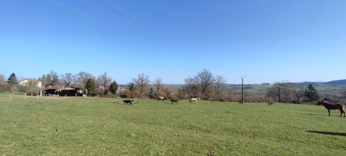 Photos 2 - Équestre - Maison à vendre Le Breuil