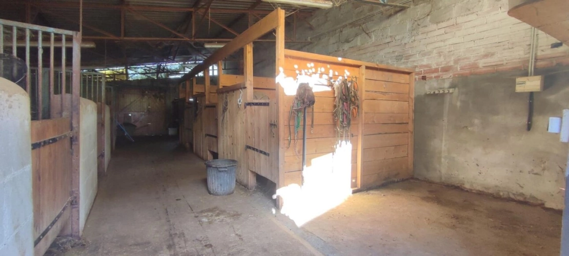 Photos 7 - Équestre - Maison à vendre Le Breuil