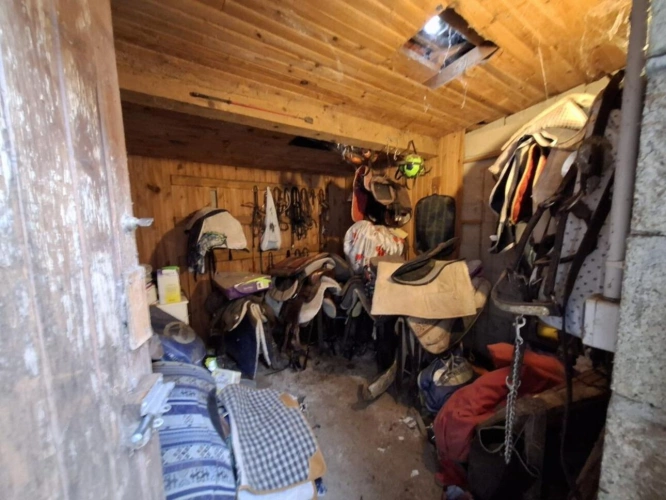 Photos 10 - Équestre - Maison à vendre Le Breuil
