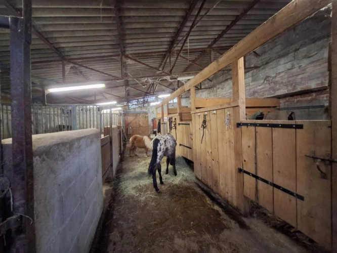 Photos 11 - Équestre - Maison à vendre Le Breuil