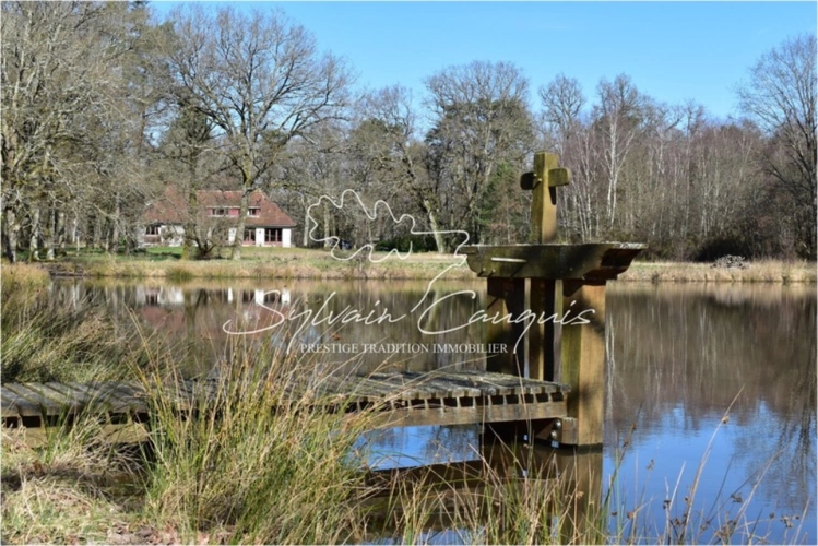 Photos 1 - Prestige - Propriété de Chasse ou d'Agrément de 60 hectares en Sologne