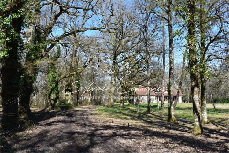Photos 2 - Prestige - Propriété de Chasse ou d'Agrément de 60 hectares en Sologne