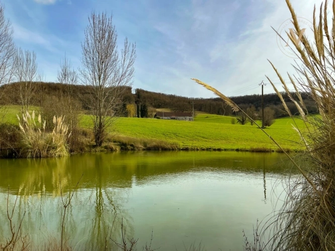 Photos 3 - Équestre - Domaine équestre d’exception sur 40 hectares — Authenticité, nature et passion proche de Penne d’Agenais (47)