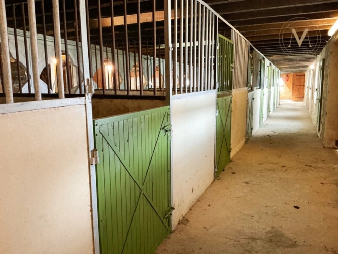 Photos 9 - Équestre - Domaine équestre d’exception sur 40 hectares — Authenticité, nature et passion proche de Penne d’Agenais (47)