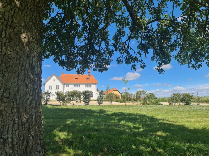 Photos 5 - Prestige - CHAMIGNY (77) à vendre murs et fonds d'un domaine de réception en activité