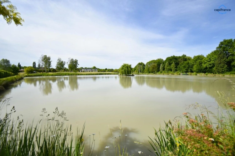 Photos 1 - Prestige - Propriete à vendre 11 pièces VERNOU EN SOLOGNE (41)