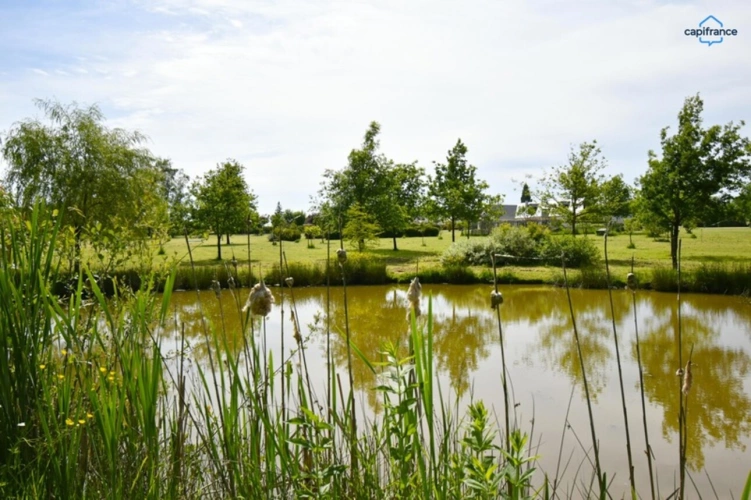 Photos 23 - Prestige - Propriete à vendre 11 pièces VERNOU EN SOLOGNE (41)