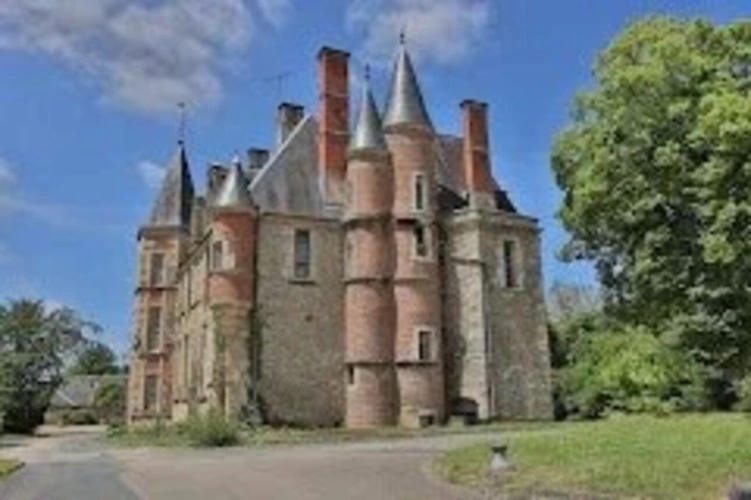 Photos 2 - Prestige - Château à VIERZON (18)