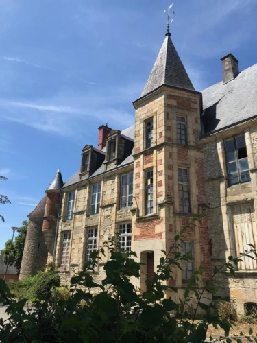 Photos 3 - Prestige - Château à VIERZON (18)