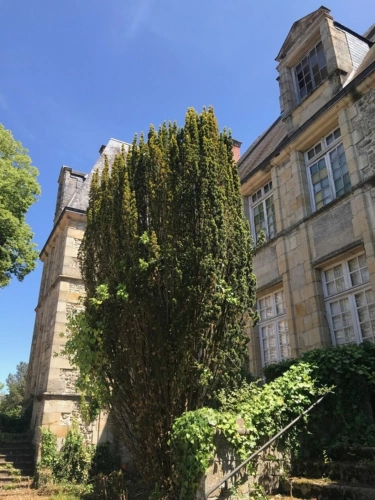 Photos 5 - Prestige - Château à VIERZON (18)