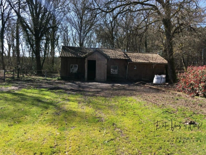 Photos 3 - Équestre - Propriété équestre avec carrière, paddocks et boxes sur prè