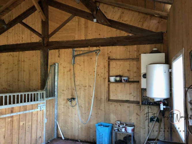 Photos 5 - Équestre - Propriété équestre avec carrière, paddocks et boxes sur prè