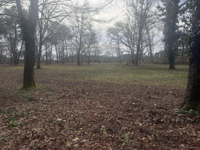 Photos 14 - Équestre - Propriété équestre avec carrière, paddocks et boxes sur prè