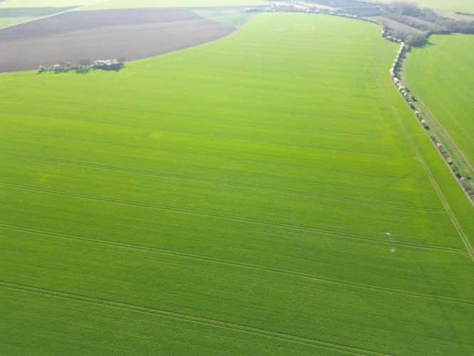 Photos 3 - Agricultural - Single-unit cereal farm - 186 hectares - Champagne Berry - 1