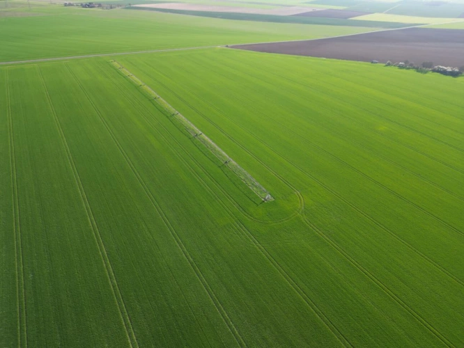 Photos 4 - Agricultural - Single-unit cereal farm - 186 hectares - Champagne Berry - 1