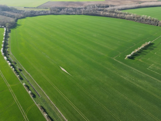 Photos 5 - Agricultural - Single-unit cereal farm - 186 hectares - Champagne Berry - 1