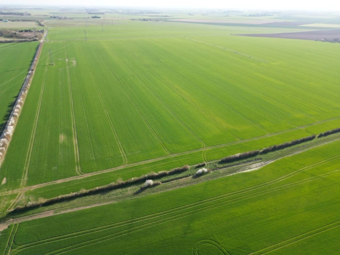 Photos 6 - Agricultural - Single-unit cereal farm - 186 hectares - Champagne Berry - 1