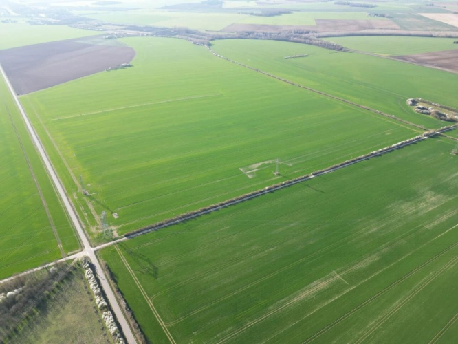 Photos 7 - Agricultural - Single-unit cereal farm - 186 hectares - Champagne Berry - 1