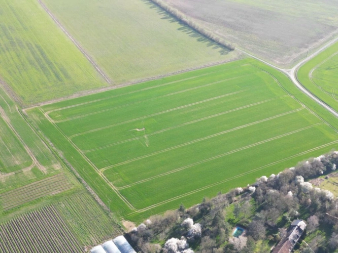 Photos 10 - Agricultural - Single-unit cereal farm - 186 hectares - Champagne Berry - 1