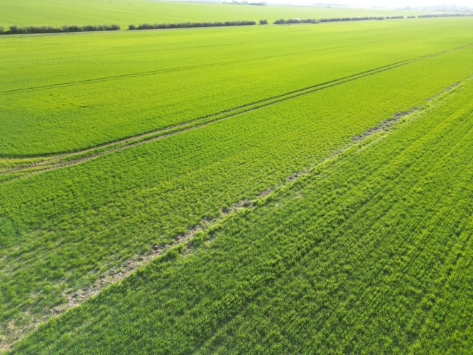 Photos 11 - Agricultural - Single-unit cereal farm - 186 hectares - Champagne Berry - 1