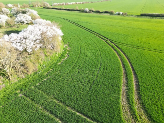 Photos 12 - Agricultural - Single-unit cereal farm - 186 hectares - Champagne Berry - 1
