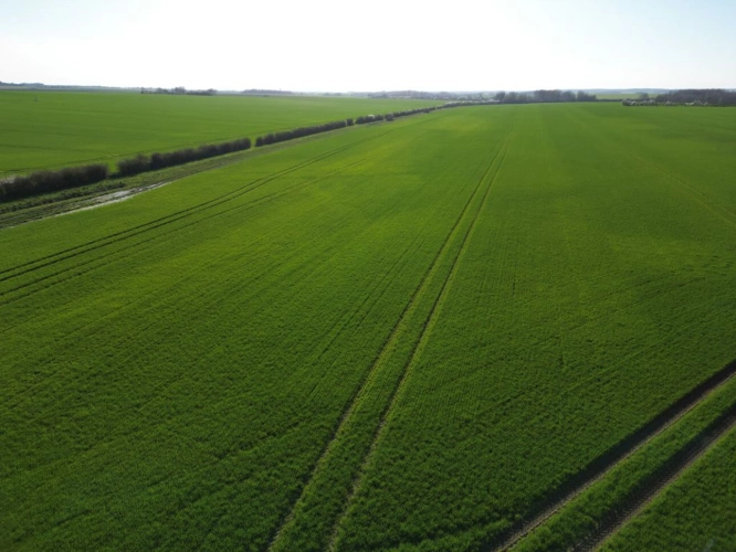 Photos 14 - Agricultural - Single-unit cereal farm - 186 hectares - Champagne Berry - 1