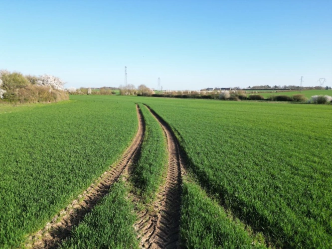 Photos 16 - Agricultural - Single-unit cereal farm - 186 hectares - Champagne Berry - 1