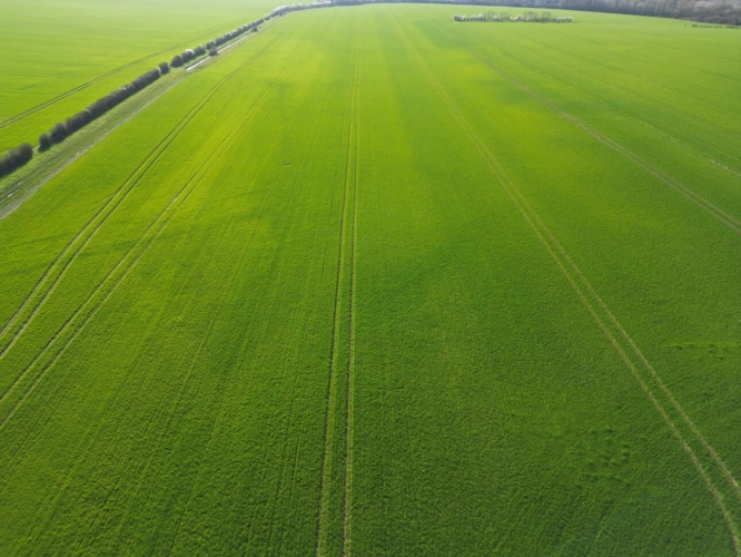 Photos 19 - Agricultural - Single-unit cereal farm - 186 hectares - Champagne Berry - 1