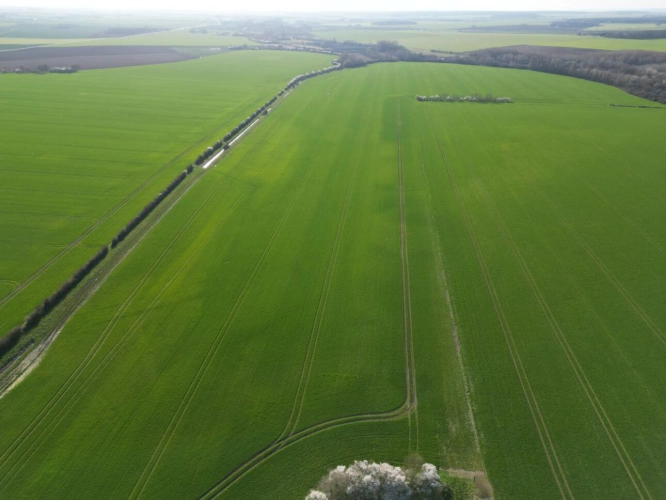 Photos 1 - Agricultural - Single-unit cereal farm - 186 hectares - Champagne Berry - 1