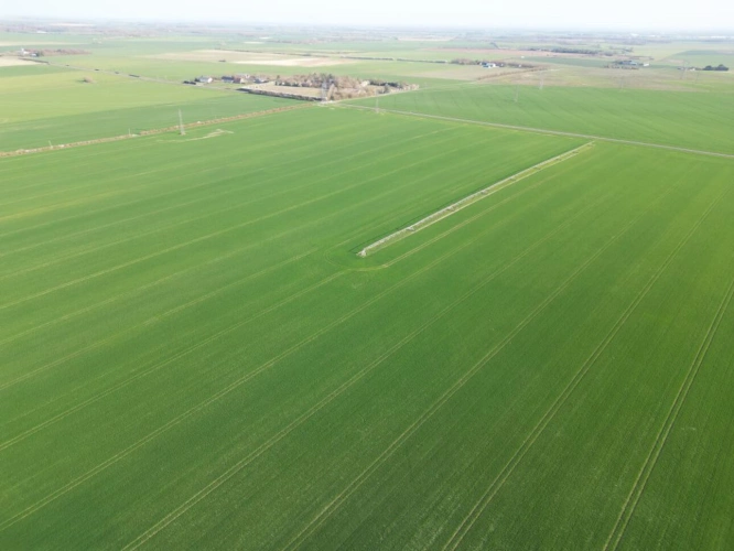 Photos 2 - Agricultural - Single-unit cereal farm - 186 hectares - Champagne Berry - 1