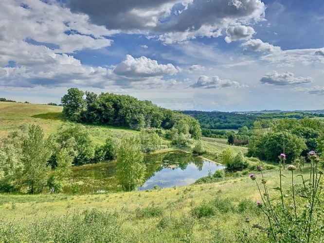 Photos 2 - Agricole - Propriété