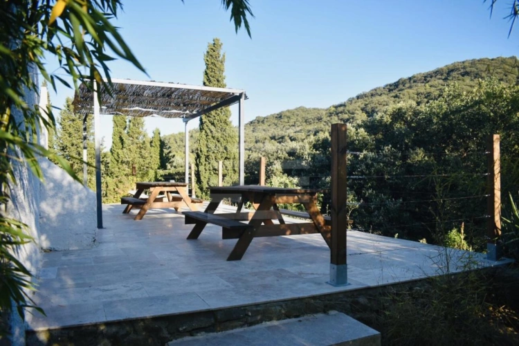 Photos 3 - Equestrian - Property