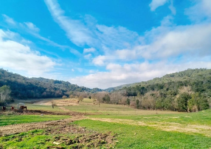 Photos 10 - Equestrian - Property