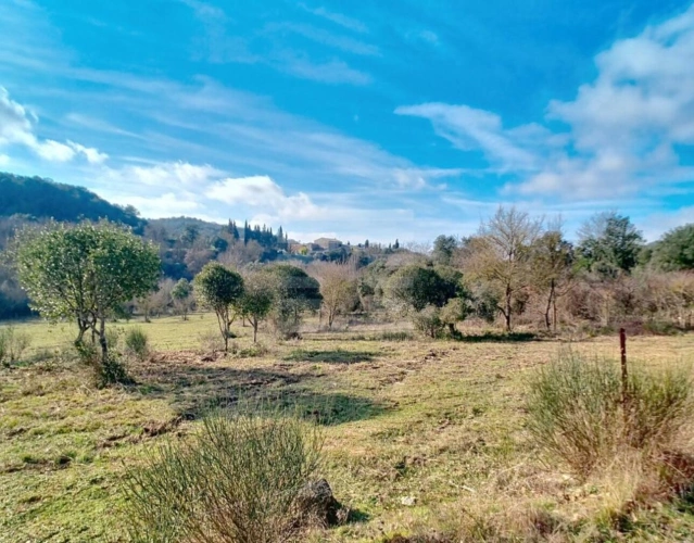 Photos 11 - Equestrian - Property