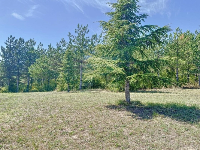 Photos 16 - Prestige - Demeure