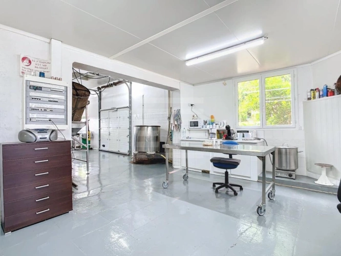 Photos 8 - Agricultural - Agriculture - Viticulture