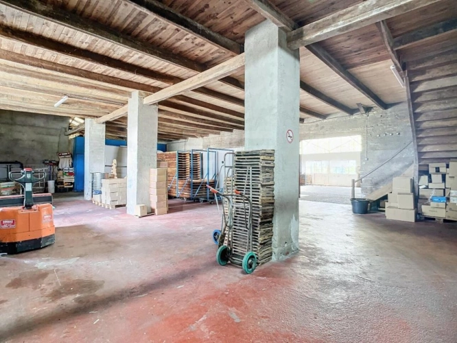 Photos 10 - Agricultural - Agriculture - Viticulture