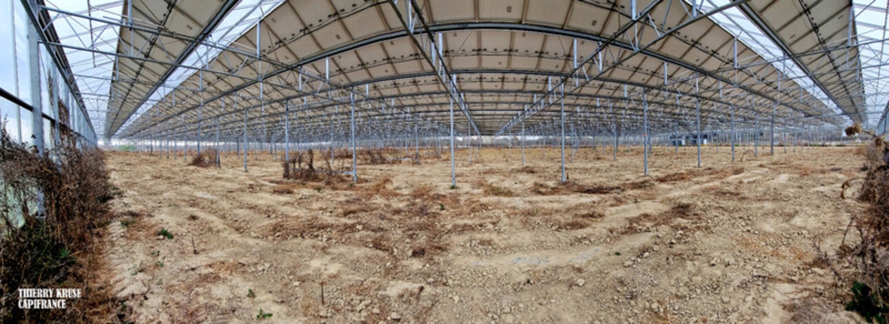 Photos 1 - Agricultural - Terrain agricole douze hectares, vergers, hangar bio-climatique fermé, hangar ouvert, serres, rucher, lac artificiel