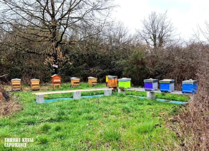 Photos 4 - Agricultural - Terrain agricole douze hectares, vergers, hangar bio-climatique fermé, hangar ouvert, serres, rucher, lac artificiel