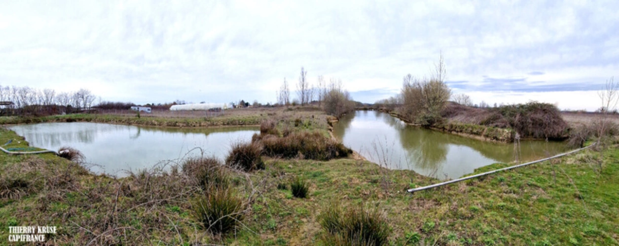 Photos 5 - Agricultural - Terrain agricole douze hectares, vergers, hangar bio-climatique fermé, hangar ouvert, serres, rucher, lac artificiel