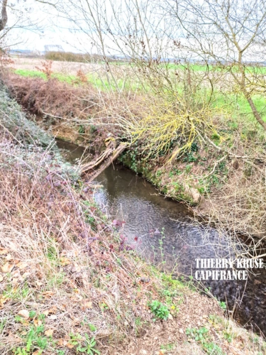 Photos 6 - Agricultural - Terrain agricole douze hectares, vergers, hangar bio-climatique fermé, hangar ouvert, serres, rucher, lac artificiel