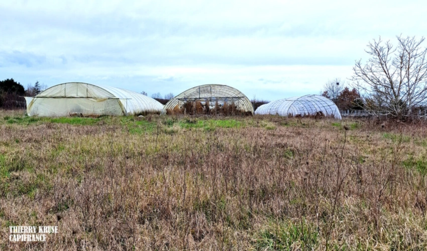 Photos 7 - Agricultural - Terrain agricole douze hectares, vergers, hangar bio-climatique fermé, hangar ouvert, serres, rucher, lac artificiel