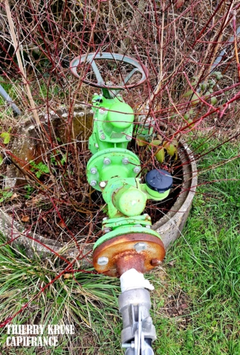 Photos 8 - Agricultural - Terrain agricole douze hectares, vergers, hangar bio-climatique fermé, hangar ouvert, serres, rucher, lac artificiel