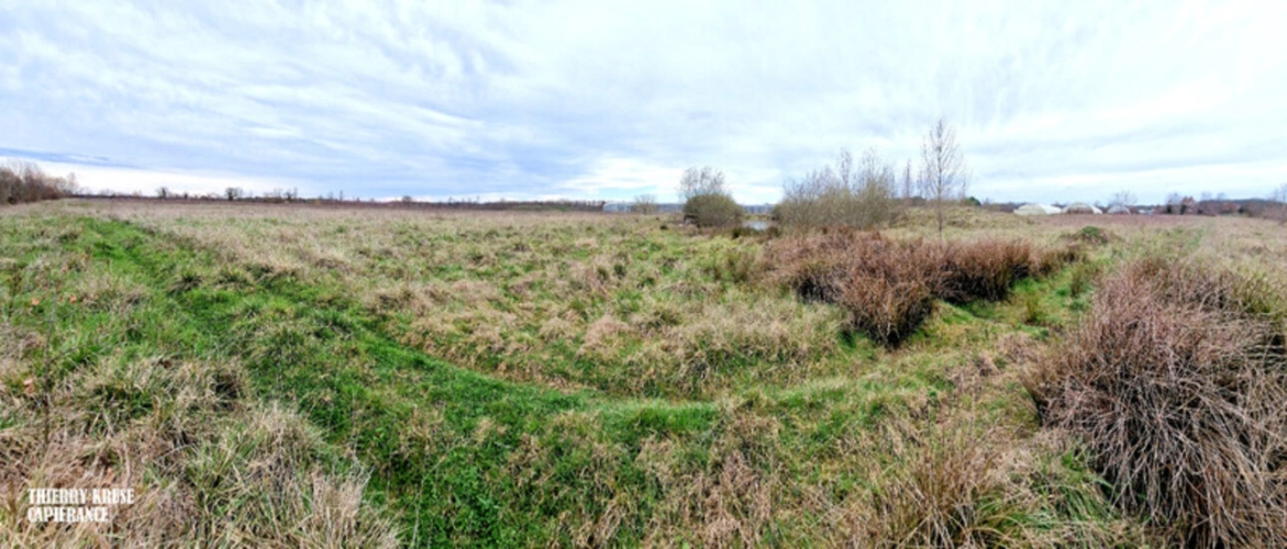 Photos 10 - Agricultural - Terrain agricole douze hectares, vergers, hangar bio-climatique fermé, hangar ouvert, serres, rucher, lac artificiel