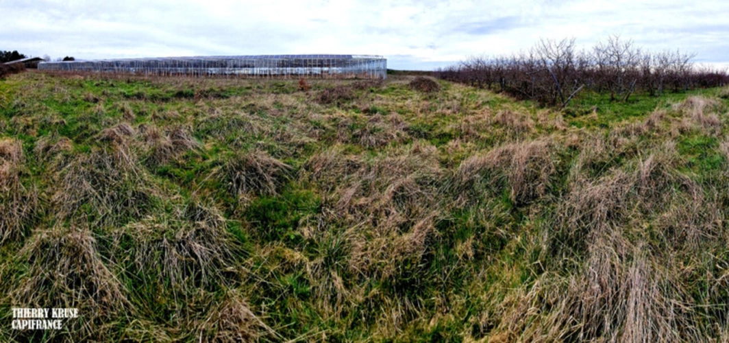 Photos 11 - Agricultural - Terrain agricole douze hectares, vergers, hangar bio-climatique fermé, hangar ouvert, serres, rucher, lac artificiel