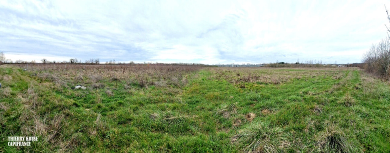 Photos 12 - Agricultural - Terrain agricole douze hectares, vergers, hangar bio-climatique fermé, hangar ouvert, serres, rucher, lac artificiel