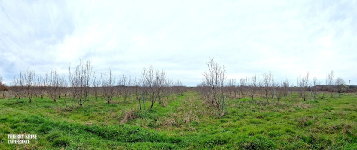 Photos 13 - Agricultural - Terrain agricole douze hectares, vergers, hangar bio-climatique fermé, hangar ouvert, serres, rucher, lac artificiel