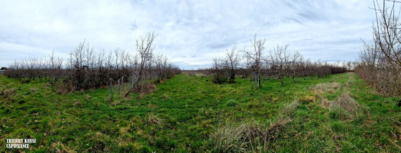 Photos 15 - Agricultural - Terrain agricole douze hectares, vergers, hangar bio-climatique fermé, hangar ouvert, serres, rucher, lac artificiel