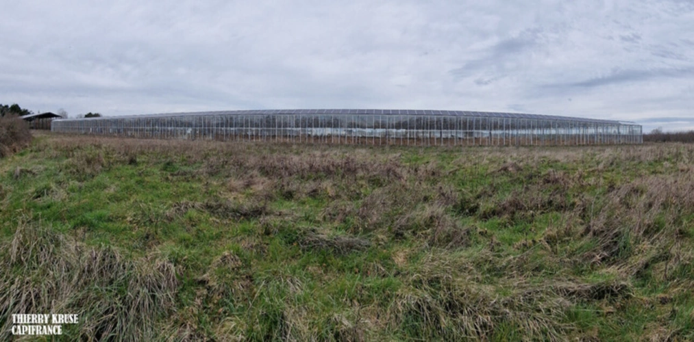 Photos 18 - Agricultural - Terrain agricole douze hectares, vergers, hangar bio-climatique fermé, hangar ouvert, serres, rucher, lac artificiel